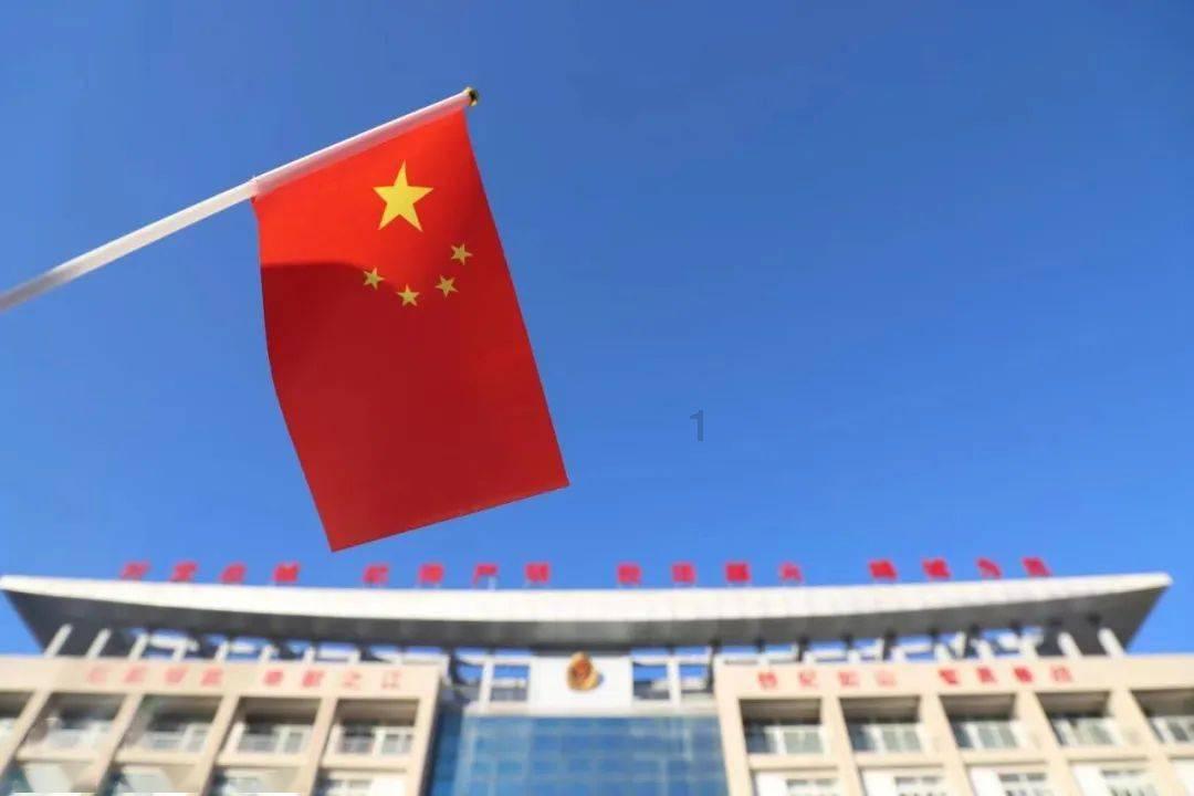 小猫钓鱼游戏龙王版有船